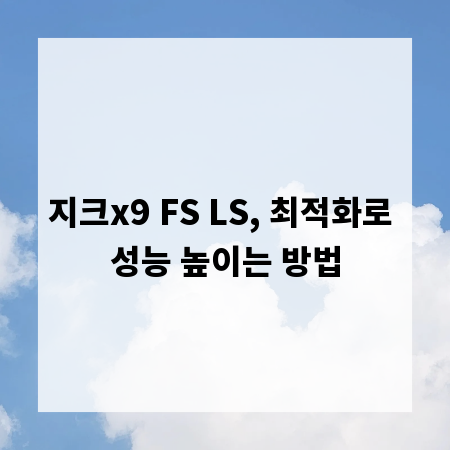 지크x9 FS LS, 최적화로 성능 높이는 방법