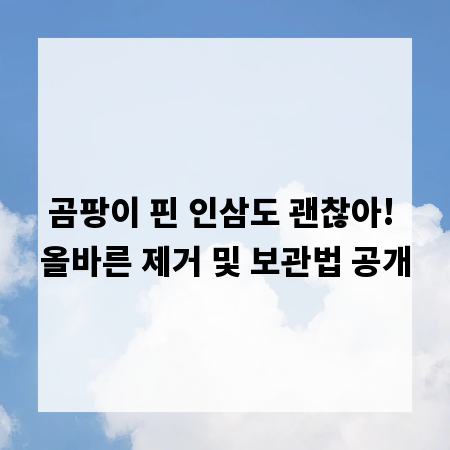곰팡이 핀 인삼도 괜찮아! 올바른 제거 및 보관법 공개