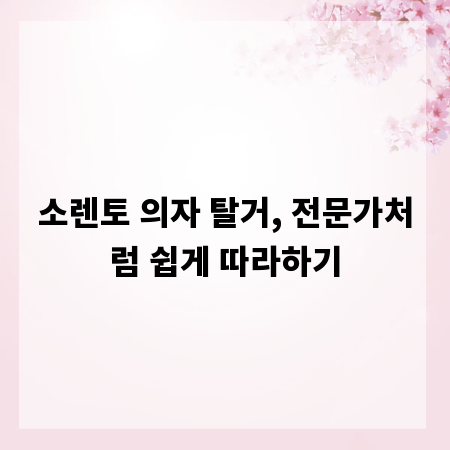 소렌토 의자 탈거, 전문가처럼 쉽게 따라하기