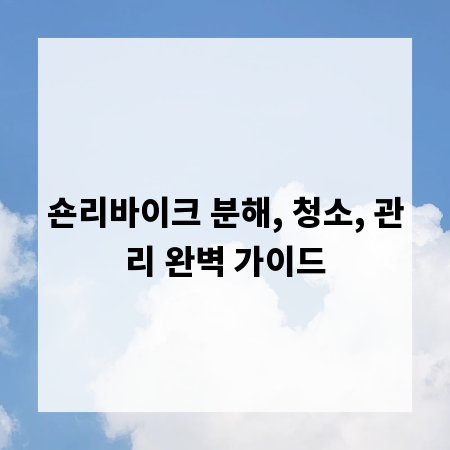 숀리바이크 분해, 청소, 관리 완벽 가이드
