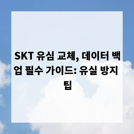 SKT 유심 교체, 데이터 백업 필수 가이드: 유실 방지 팁