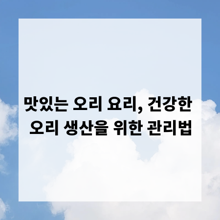 맛있는 오리 요리, 건강한 오리 생산을 위한 관리법