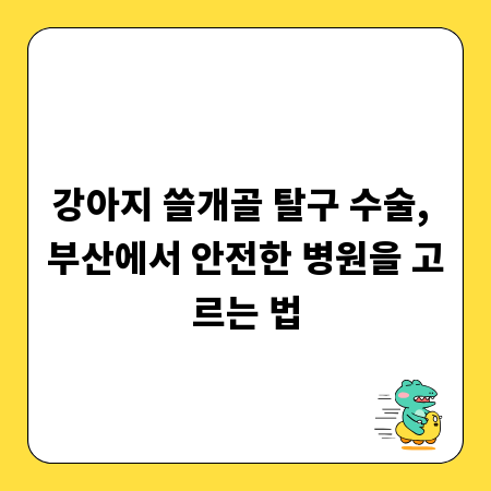 강아지 쓸개골 탈구 수술, 부산에서 안전한 병원을 고르는 법