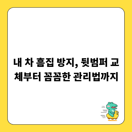 내 차 흠집 방지, 뒷범퍼 교체부터 꼼꼼한 관리법까지