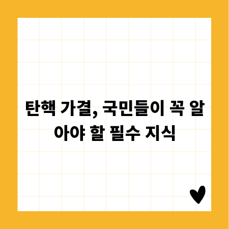 탄핵 가결, 국민들이 꼭 알아야 할 필수 지식