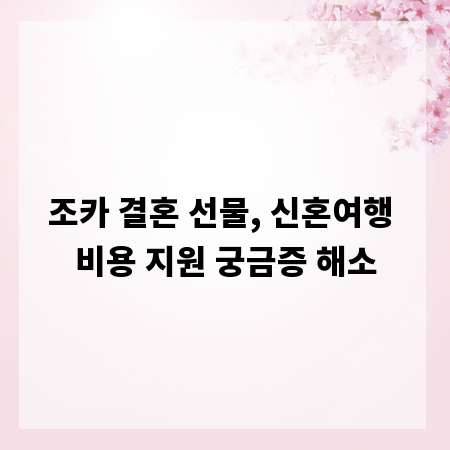 조카 결혼 선물, 신혼여행 비용 지원 궁금증 해소