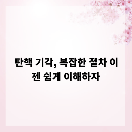 탄핵 기각, 복잡한 절차 이젠 쉽게 이해하자
