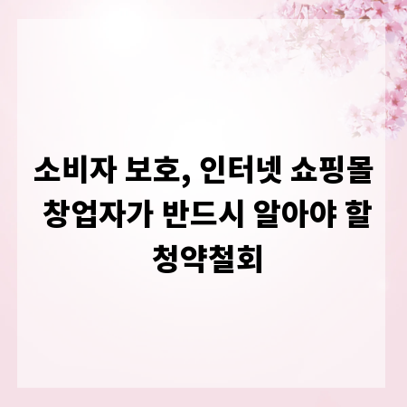 소비자 보호, 인터넷 쇼핑몰 창업자가 반드시 알아야 할 청약철회