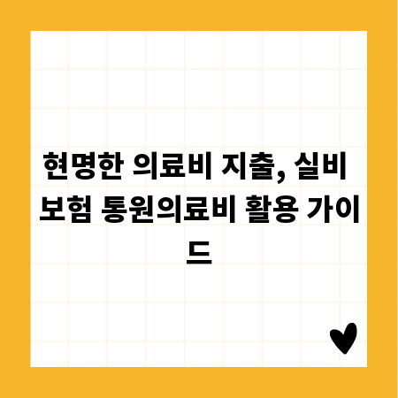 현명한 의료비 지출, 실비 보험 통원의료비 활용 가이드