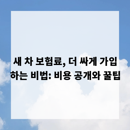 새 차 보험료, 더 싸게 가입하는 비법: 비용 공개와 꿀팁