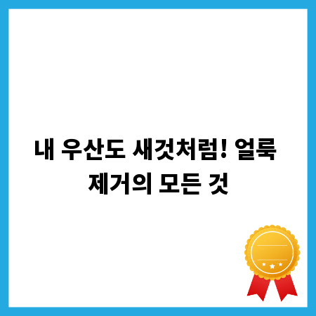 내 우산도 새것처럼! 얼룩 제거의 모든 것