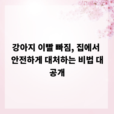 강아지 이빨 빠짐, 집에서 안전하게 대처하는 비법 대공개