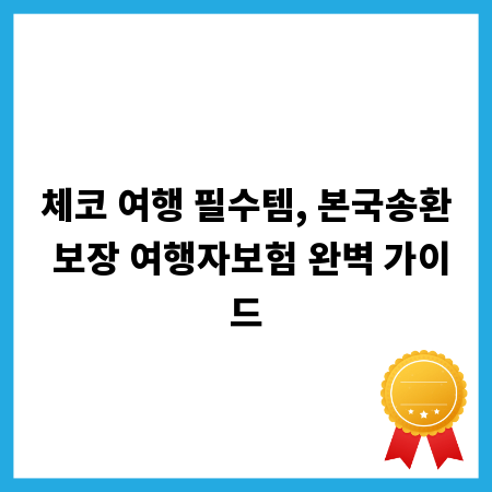 체코 여행 필수템, 본국송환 보장 여행자보험 완벽 가이드
