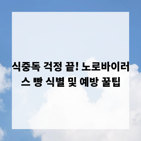 식중독 걱정 끝! 노로바이러스 빵 식별 및 예방 꿀팁