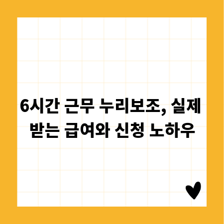 6시간 근무 누리보조, 실제 받는 급여와 신청 노하우