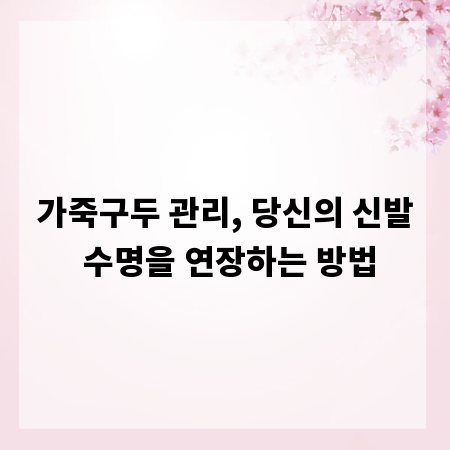 가죽구두 관리, 당신의 신발 수명을 연장하는 방법