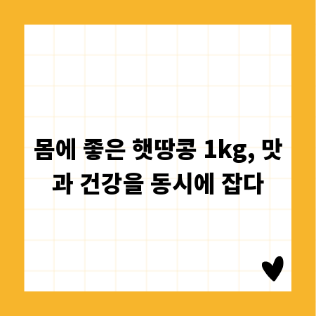 몸에 좋은 햇땅콩 1kg, 맛과 건강을 동시에 잡다