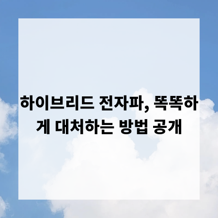 하이브리드 전자파, 똑똑하게 대처하는 방법 공개