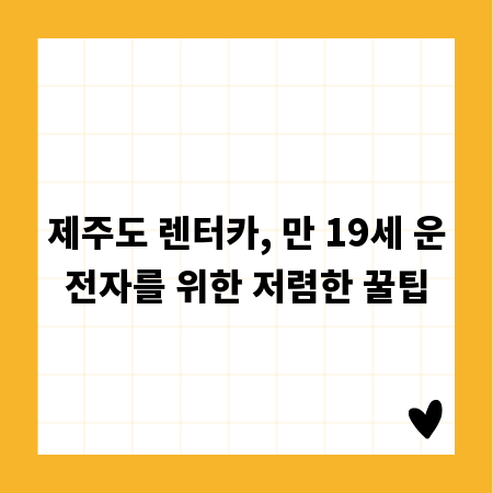 제주도 렌터카, 만 19세 운전자를 위한 저렴한 꿀팁
