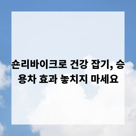 숀리바이크로 건강 잡기, 승용차 효과 놓치지 마세요