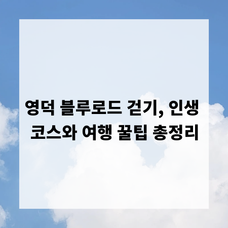 영덕 블루로드 걷기, 인생 코스와 여행 꿀팁 총정리