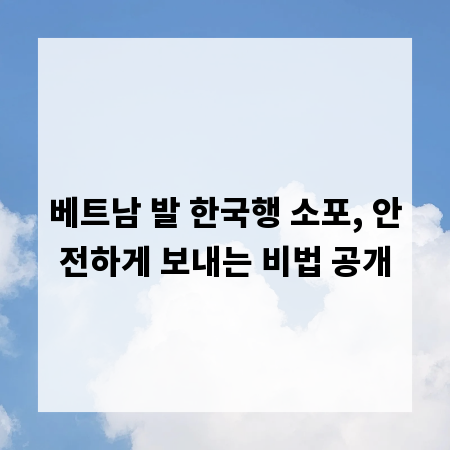 베트남 발 한국행 소포, 안전하게 보내는 비법 공개