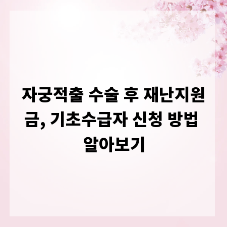 자궁적출 수술 후 재난지원금, 기초수급자 신청 방법 알아보기