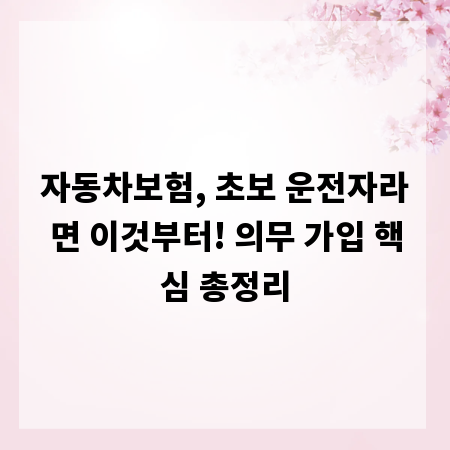 자동차보험, 초보 운전자라면 이것부터! 의무 가입 핵심 총정리