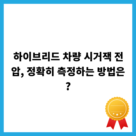 하이브리드 차량 시거잭 전압, 정확히 측정하는 방법은?