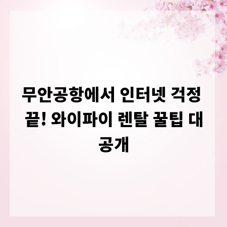 무안공항에서 인터넷 걱정 끝! 와이파이 렌탈 꿀팁 대공개