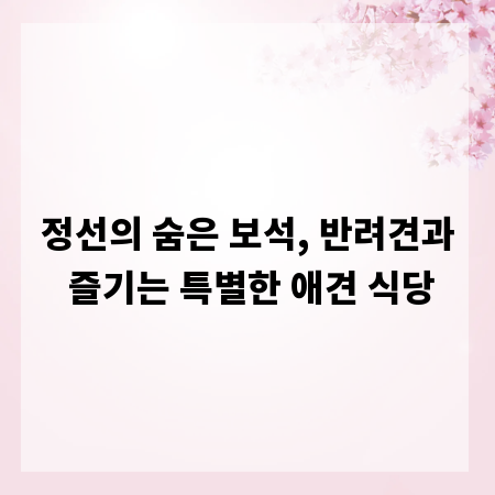 정선의 숨은 보석, 반려견과 즐기는 특별한 애견 식당