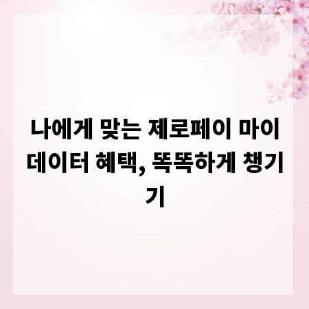 나에게 맞는 제로페이 마이데이터 혜택, 똑똑하게 챙기기