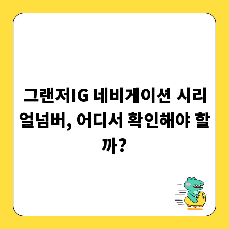그랜저IG 네비게이션 시리얼넘버, 어디서 확인해야 할까?