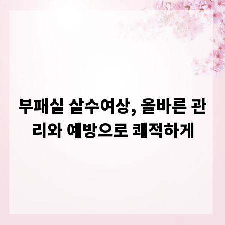 부패실 살수여상, 올바른 관리와 예방으로 쾌적하게