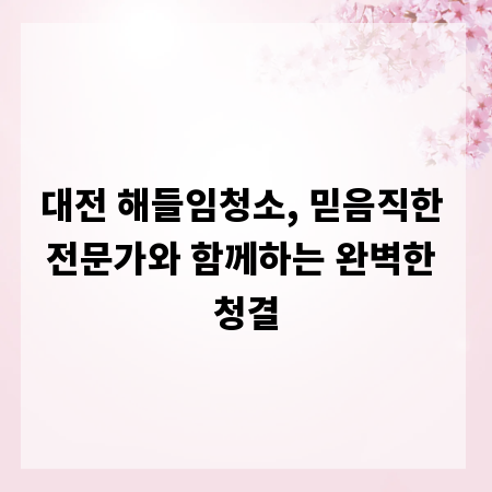 대전 해들임청소, 믿음직한 전문가와 함께하는 완벽한 청결
