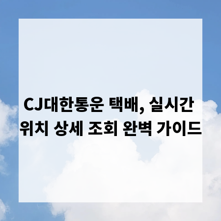 CJ대한통운 택배, 실시간 위치 상세 조회 완벽 가이드