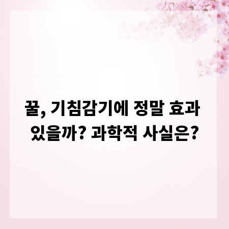 꿀, 기침감기에 정말 효과 있을까? 과학적 사실은?