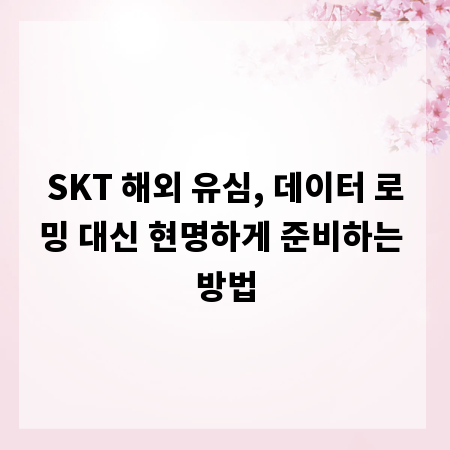 SKT 해외 유심, 데이터 로밍 대신 현명하게 준비하는 방법