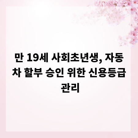 만 19세 사회초년생, 자동차 할부 승인 위한 신용등급 관리