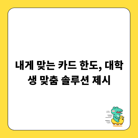 내게 맞는 카드 한도, 대학생 맞춤 솔루션 제시