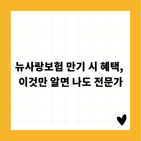 뉴사랑보험 만기 시 혜택, 이것만 알면 나도 전문가