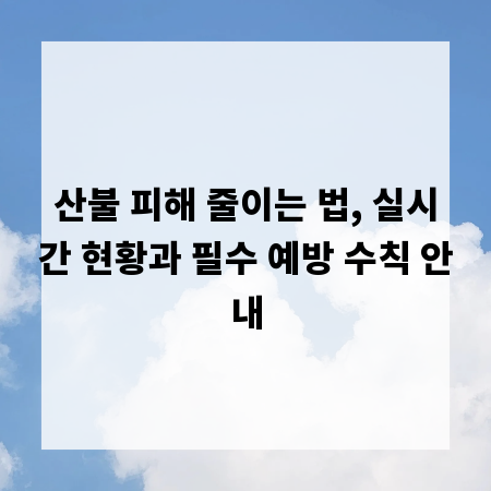 산불 피해 줄이는 법, 실시간 현황과 필수 예방 수칙 안내