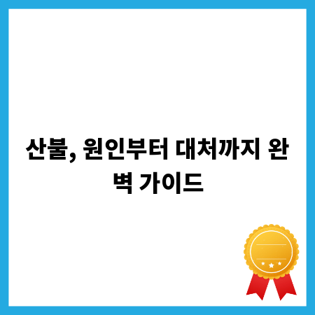 산불, 원인부터 대처까지 완벽 가이드