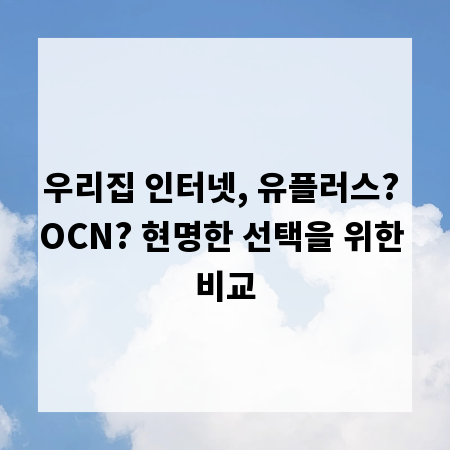 우리집 인터넷, 유플러스? OCN? 현명한 선택을 위한 비교
