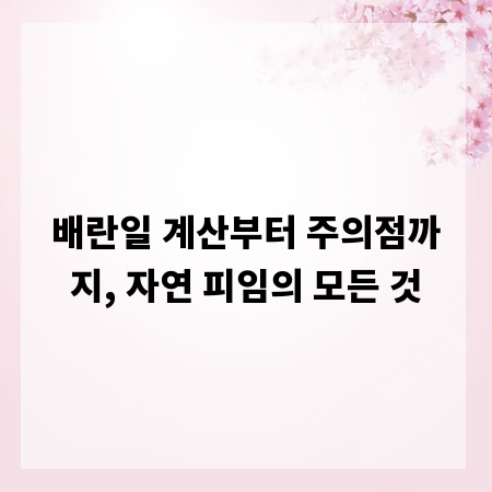 배란일 계산부터 주의점까지, 자연 피임의 모든 것