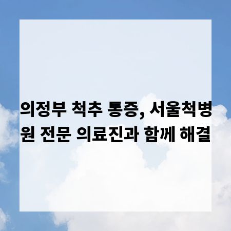 의정부 척추 통증, 서울척병원 전문 의료진과 함께 해결
