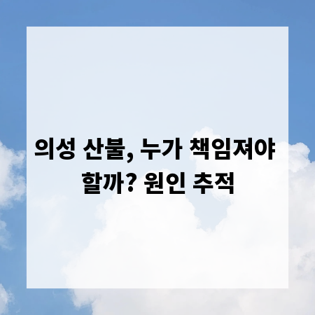 의성 산불, 누가 책임져야 할까? 원인 추적