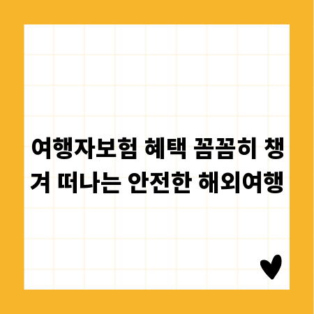 여행자보험 혜택 꼼꼼히 챙겨 떠나는 안전한 해외여행