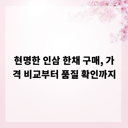 현명한 인삼 한채 구매, 가격 비교부터 품질 확인까지