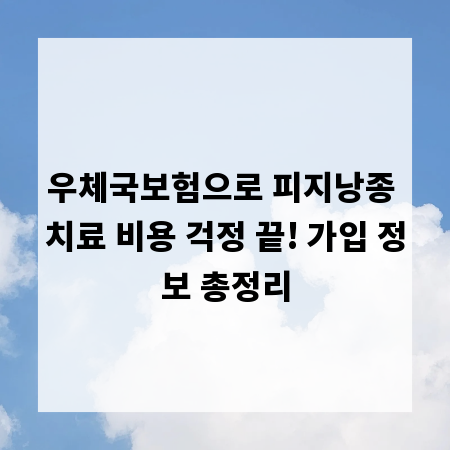 우체국보험으로 피지낭종 치료 비용 걱정 끝! 가입 정보 총정리